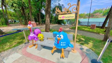 galinha pintadinha