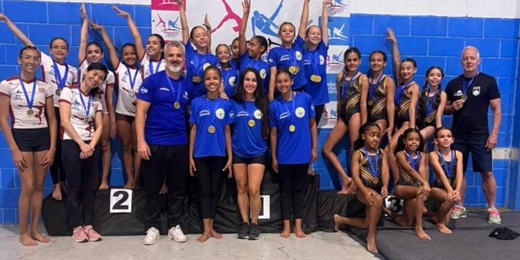 ginástica artística