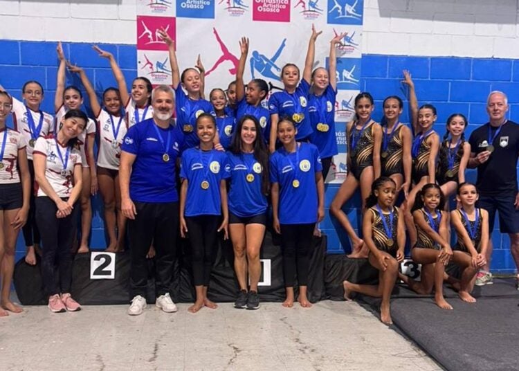 ginástica artística