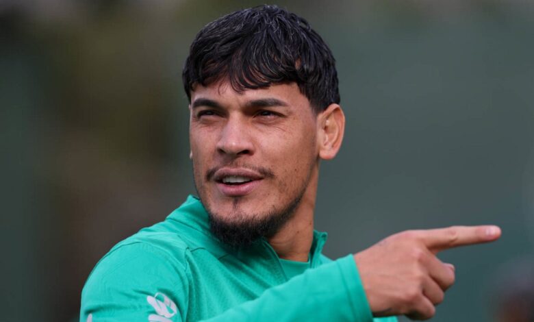 Palmeiras paraguai
