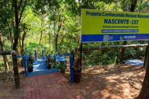 Nascente do Pq. Dorothy está disponível à visitação pública após revitalização