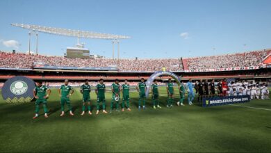 palmeiras
