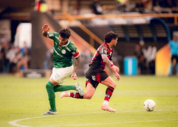 Flamengo e Palmeiras