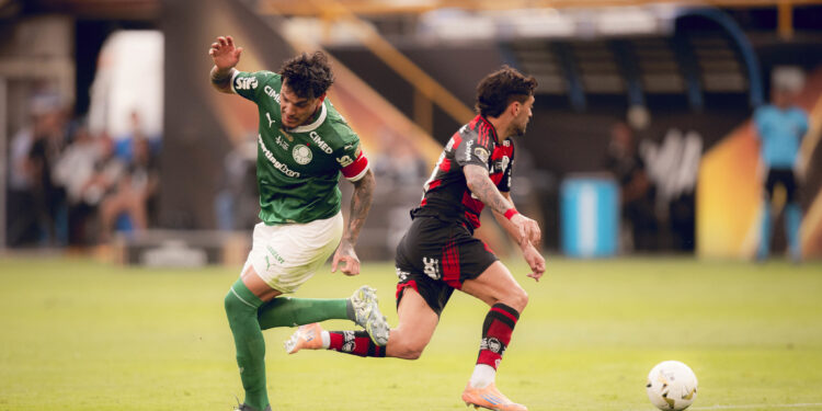 Flamengo e Palmeiras