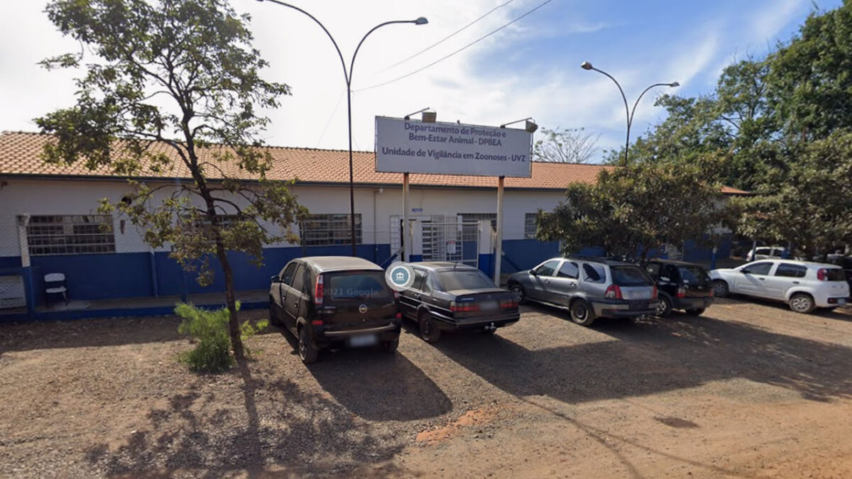 Departamento de Proteção e Bem-Estar Animal Hortolândia - DPBEA