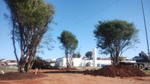 Parque socioambiental do Jardim Amanda recebe plantio de grama e jabuticabeiras