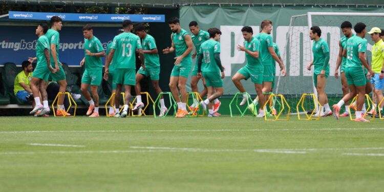 Palmeiras