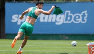 Palmeiras troca gramado sintético da Academia de Futebol