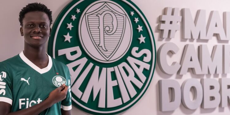 Palmeiras