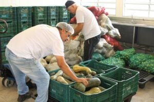 Hortolândia convoca sociedade civil para eleição do Conselho de Segurança Alimentar