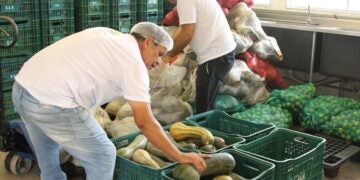 II Encontro Regional de Segurança Alimentar e Nutricional