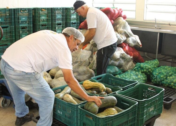 Conselho de Segurança Alimentar