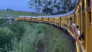 Trem de Natal oferece passeio encantado entre Campinas e Jaguariúna em dezembro