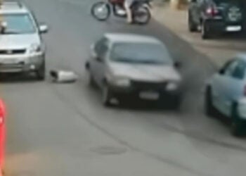 Menina de 7 anos é atropelada em Hortolândia; motorista foge sem prestar socorro