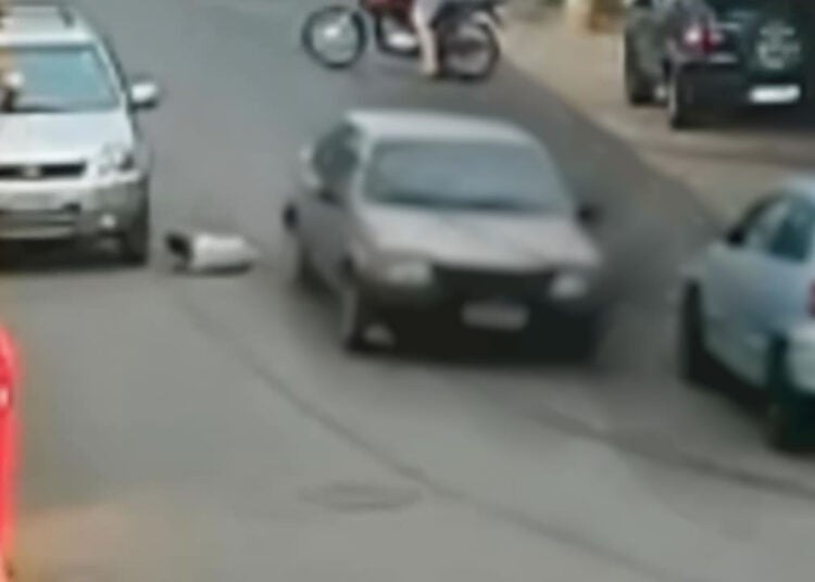 Menina de 7 anos é atropelada em Hortolândia; motorista foge sem prestar socorro