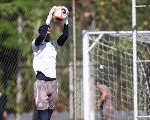 Goleiro deixa Corinthians para jogar Série C