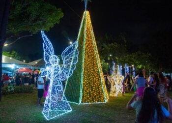 programação de natal