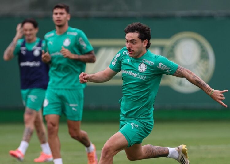 Palmeiras