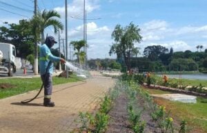 Parque Socioambiental do Jardim Amanda recebe paisagismo