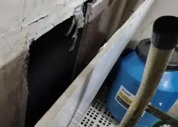 Vigilância Sanitária