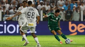Palmeiras x Santos: Como assistir ao vivo e horário