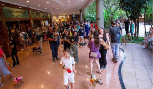 Pet Day Galleria Shopping terá Encontro de Malteses
