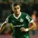 Andreas Pereira - Palmeiras