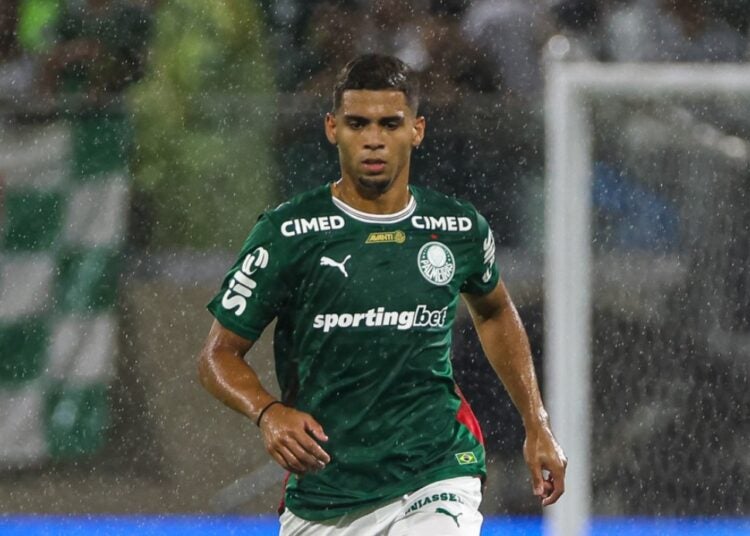 Palmeiras Arthur