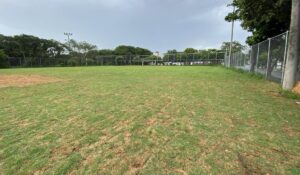 Campo da Mina recebeu gramado novo e teve área de jogo ampliada