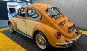Dia Nacional do Fusca celebra ícone brasileiro e Volkswagen oferece desconto especial em certificado de clássico