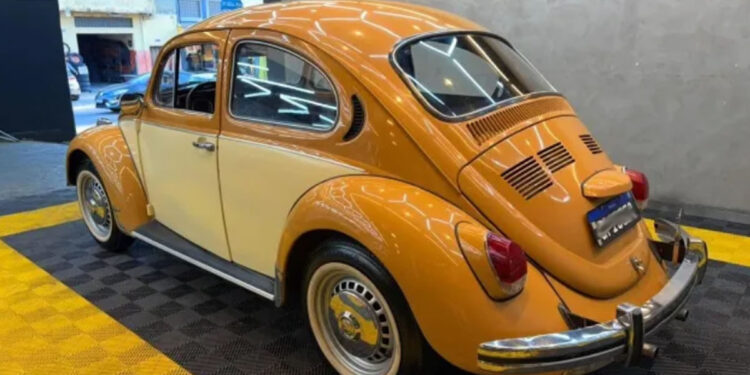 fusca