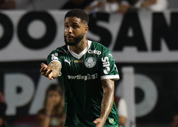Micael - Palmeiras