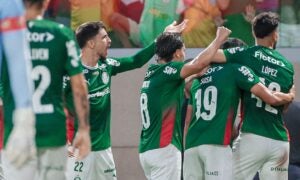 Botafogo x Palmeiras: Como assistir ao vivo e horário