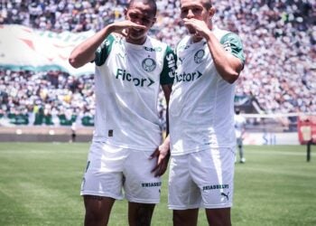 Palmeiras