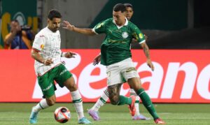 Portuguesa x Palmeiras: Como assistir ao vivo