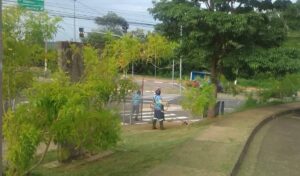 Mutirão de limpeza e manutenção em avenidas, praças e parques de Hortolândia