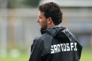 Santos contrata ídolo Elano para cargo na base