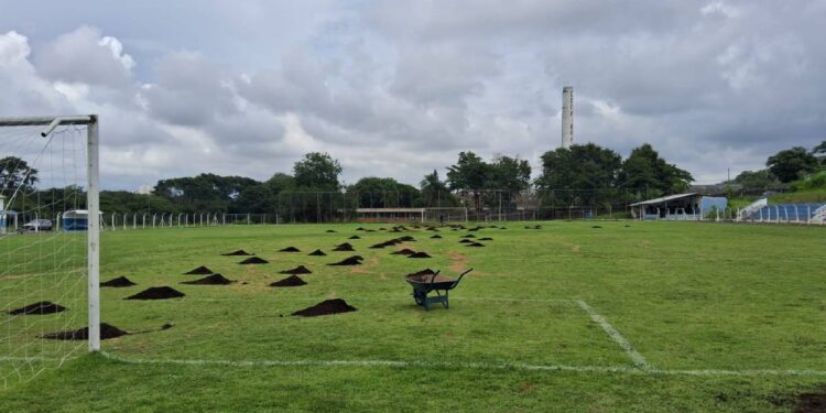 Campos de futebol