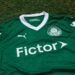 Palmeiras - Fictor
