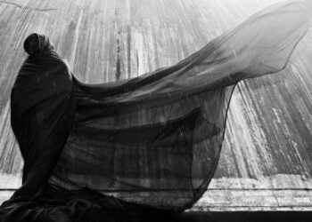 circo contemporâneo