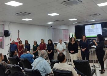 vigilância do óbito materno