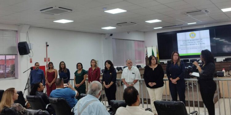 vigilância do óbito materno