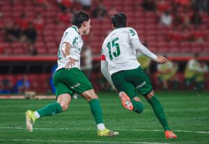 Palmeiras vence e se torna líder do Brasileirão