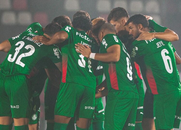 Palmeiras joga mal, perde do Botafogo e posterga classificação