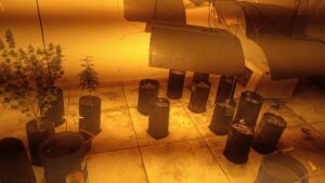 Polícia Militar encontra plantação de maconha em imóvel vazio no Adelaide