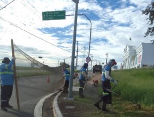 Av. da Emancipação e Corredor Metropolitano recebem poda de mato e limpeza nos canteiros centrais