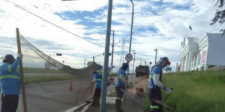 poda de mato e limpeza nos canteiros centrais