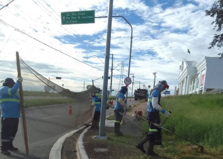 poda de mato e limpeza nos canteiros centrais