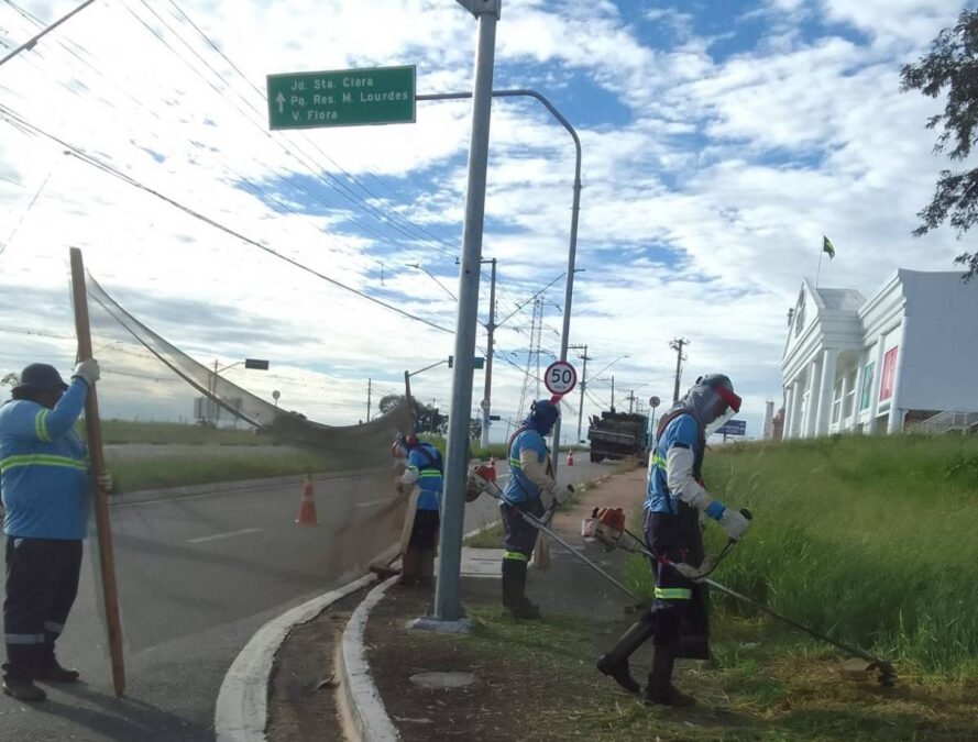 poda de mato e limpeza nos canteiros centrais