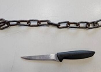 violência doméstica